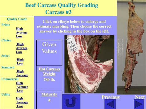 Instrument grading of beef carcasses 